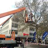 Mit Akkugeräten wird die Kronenpflege in der Hirschstraße ausgeführt. (Quelle: Husqvarna).