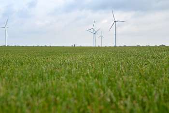 Auf insgesamt 125 ha produziert die Firma Rollrasen, davon etwa 50 ha am Standort Pattensen.