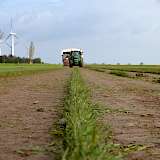 Es sind ungefähr 100 Arbeitsgänge nötig, bis ein Rollrasen geerntet werden kann.