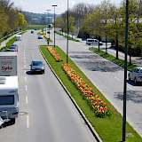 Die große Einfallstraße in Kaufbeuren wird mit über 10.000 verschiedenen Blumenzwiebeln bestückt.