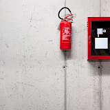 Foto: DingaLT/Depositphotos.com