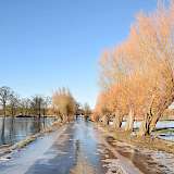 Hochwasser an einer Straße